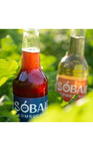 Încarcă imaginea în vizualizatorul Galerie, Sobaie - Kombucha din Fructe de Pădure cu Struguri Roșii
